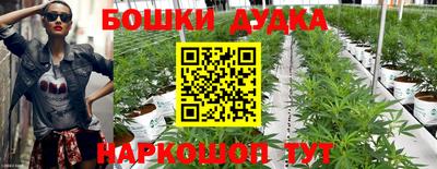 амф Будённовск